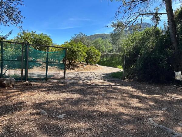 Casa independiente en camino del Barranquet