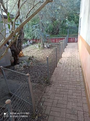 Casa independiente en Partida Llacuna