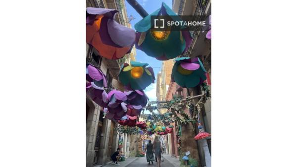 Chambre à louer à Vila de Gràcia, Barcelone