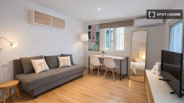 Estudio en alquiler en Alicante