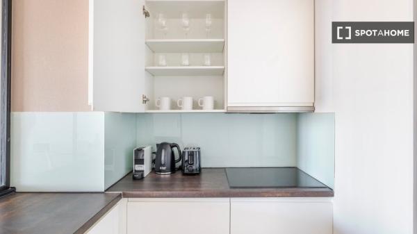 Piso en alquiler de 1 dormitorio en Castillejos, Madrid