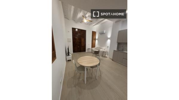 Estudio en alquiler en Cabanyal-Canyamelar, Valencia.