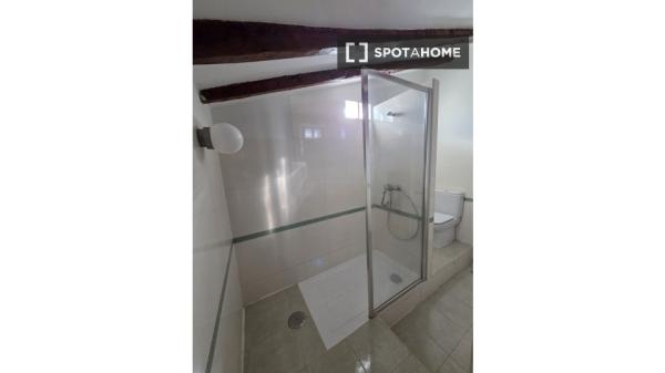 Estudio en alquiler en Trafalgar, Madrid