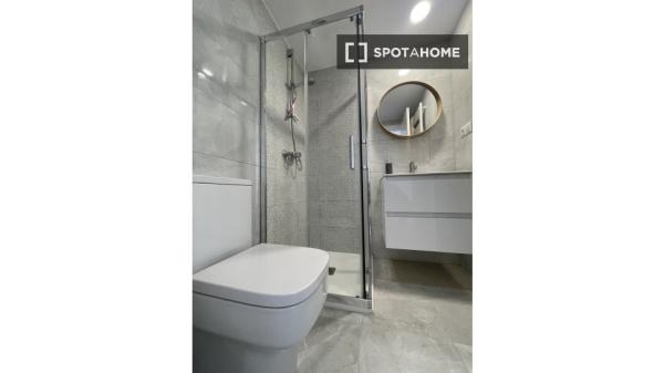 Chambre en appartement partagé en Cantabrie