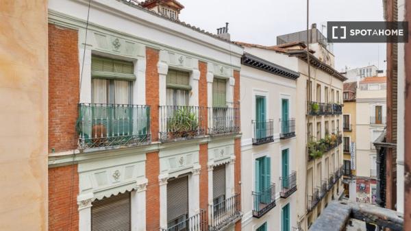 1-Zimmer-Wohnung zur Miete in Cortes, Madrid