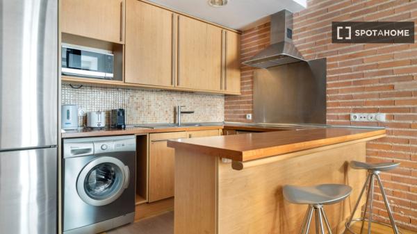 1-Zimmer-Wohnung zur Miete in Cortes, Madrid