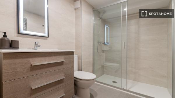 Studio à louer à Palacio, Madrid