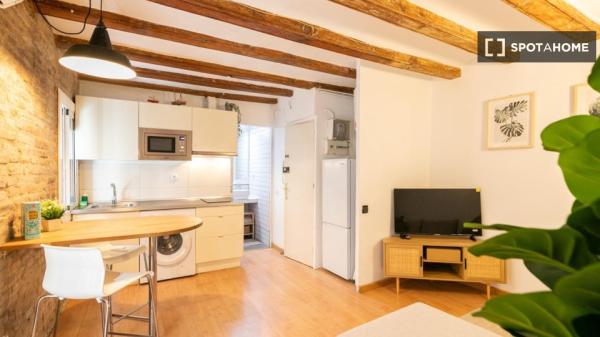 Studio à louer à La Barceloneta, Barcelone