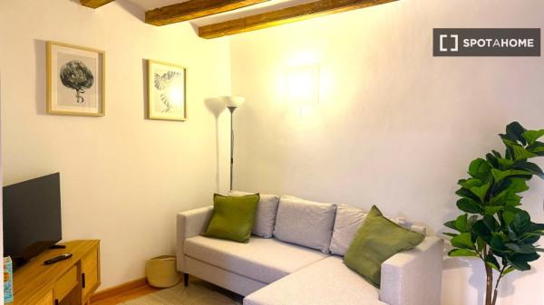 Studio à louer à La Barceloneta, Barcelone