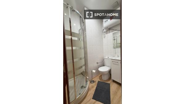 Apartamento de 2 dormitorios en alquiler en Universidad, Madrid