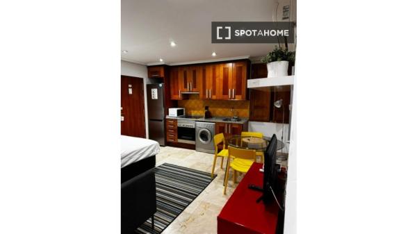 Estudio en alquiler en Trafalgar, Madrid