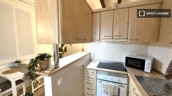 Estudio en alquiler en El Raval, Barcelona