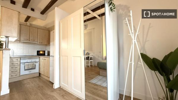 Estudio en alquiler en El Raval, Barcelona
