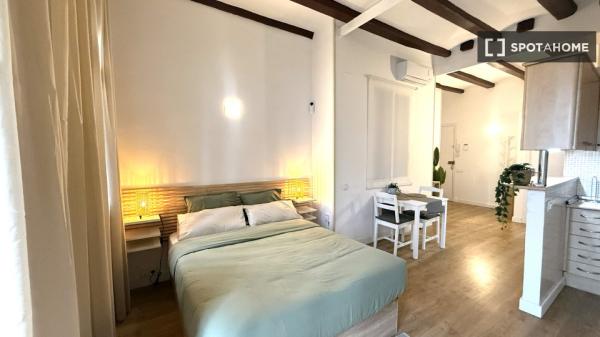 Estudio en alquiler en El Raval, Barcelona