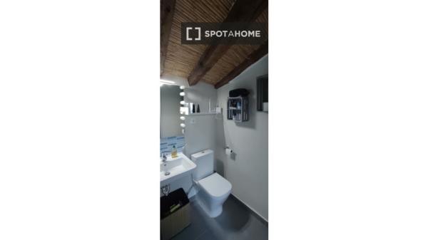 Studio for rent in Embajadores, Madrid