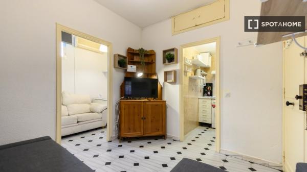 Studio zur Miete in Trafalgar, Madrid.