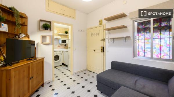 Studio zur Miete in Trafalgar, Madrid.