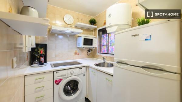 Studio zur Miete in Trafalgar, Madrid.