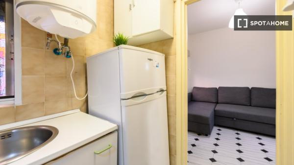 Studio zur Miete in Trafalgar, Madrid.