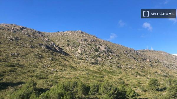 Appartement 2 chambres à louer à Alcúdia