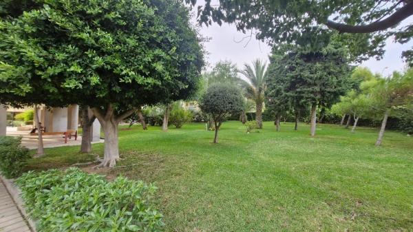 Piso en avenida de Alcalde Lorenzo Carbonell