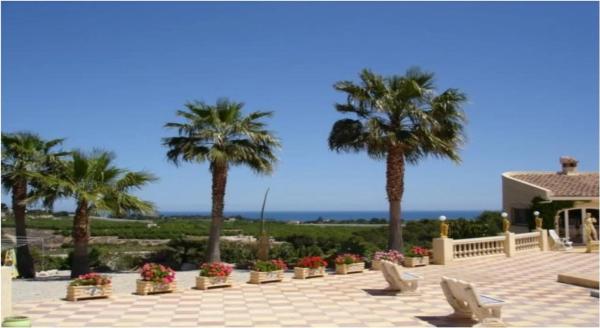 Casa independiente en calle de Alicante