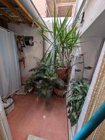 Chalet pareado en calle Major