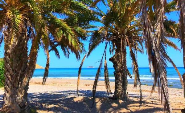 Dúplex en calle Edeta, 3