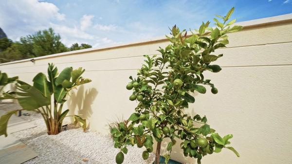 Casa independiente en Polígon Pau Número 1