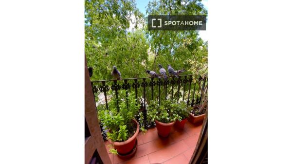 Habitación en piso compartido en barcelona.