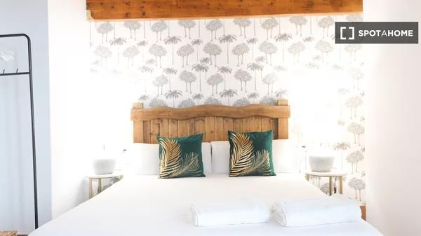 Appartement 1 chambre à louer à Triana, Séville.