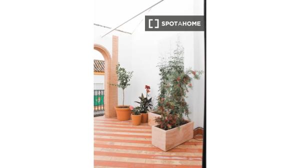Appartement 1 chambre à louer à Triana, Séville.