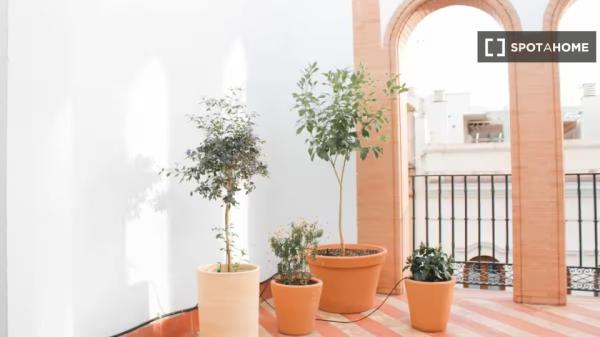 Appartement 1 chambre à louer à Triana, Séville.
