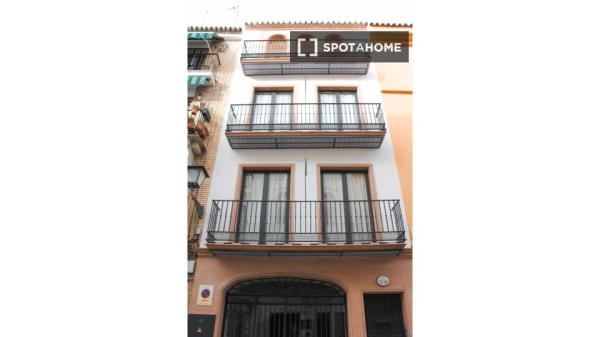 Appartement 1 chambre à louer à Triana, Séville.