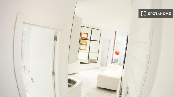 Chambre dans un appartement partagé de 3 chambres à louer à Embajadores