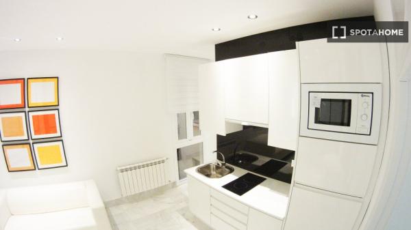 Chambre dans un appartement partagé de 3 chambres à louer à Embajadores