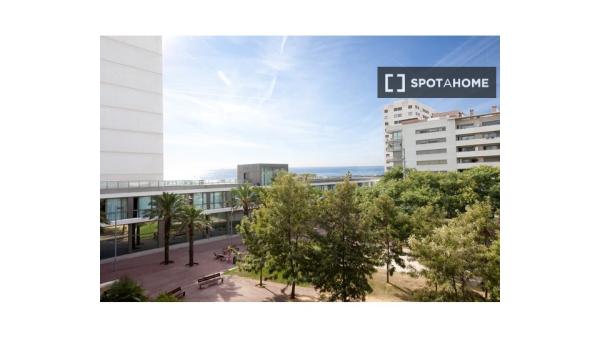 Room in shared apartment in Barcelona