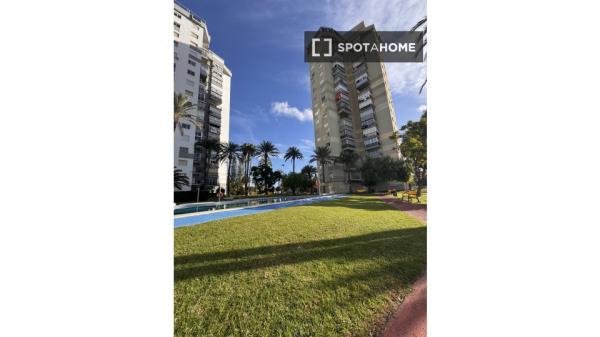 Estudio en alquiler en Benidorm, Alicante