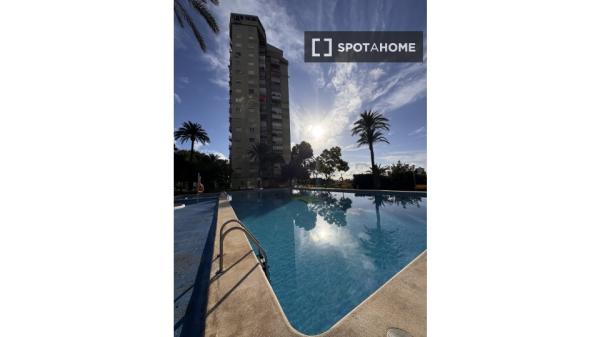 Estudio en alquiler en Benidorm, Alicante