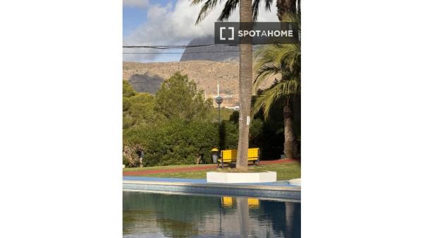 Estudio en alquiler en Benidorm, Alicante