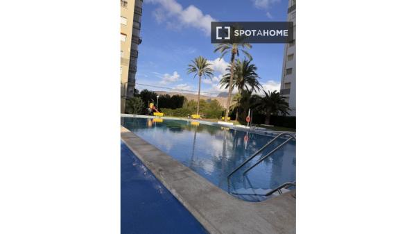 Estudio en alquiler en Benidorm, Alicante