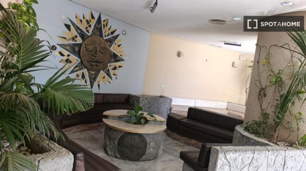 Estudio en alquiler en San Miguel de Abona