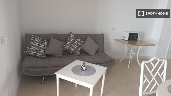Estudio en alquiler en San Miguel de Abona
