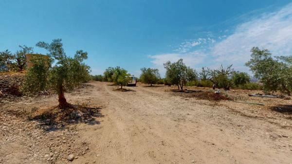 Casa independiente en cv 804