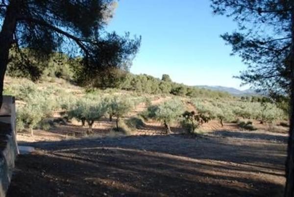 Chalet adosado en talaeta