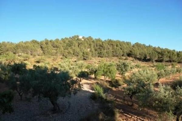 Chalet adosado en talaeta