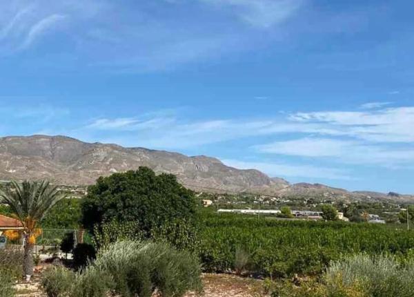 Casa independiente en Partida Moco el Gp. 7