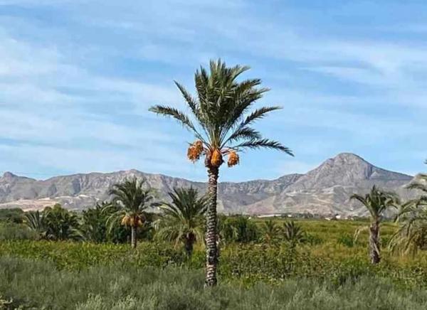 Casa independiente en Partida Moco el Gp. 7
