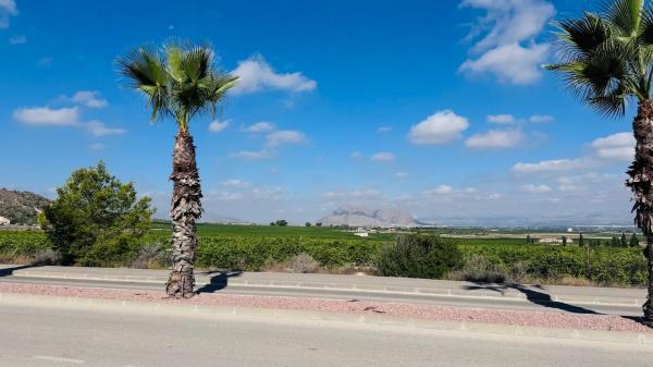 Piso en avenida Antonio Pedrera Soler