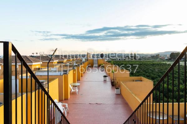 Piso en avenida de Almoradí